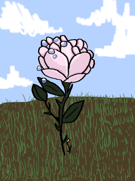 rose - ibisPaint