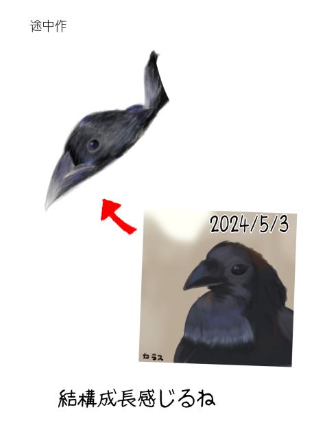カラス