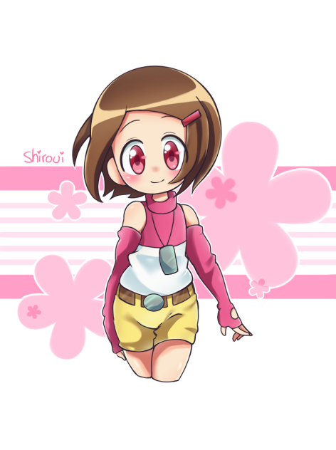 Yagami Hikari Digimon adventure