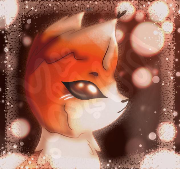 Fox 🔥
