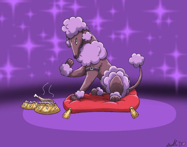 Pampered Poodle