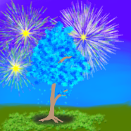 fireworks