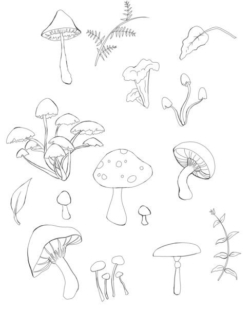 Mushyrooms