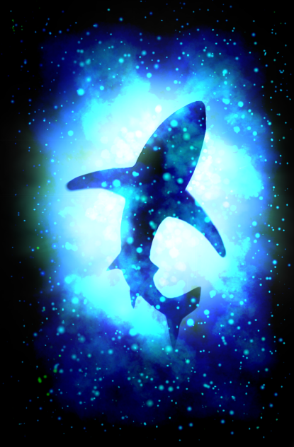 サメと宇宙