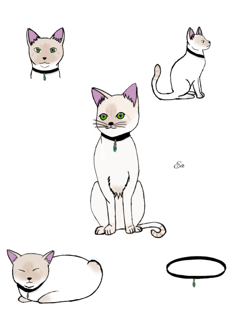 Cat drawing