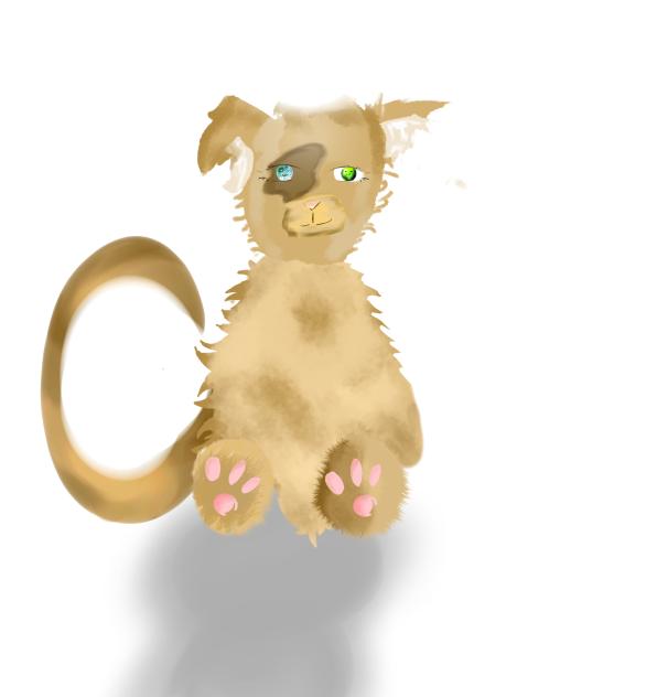 pfp for warriocatlover