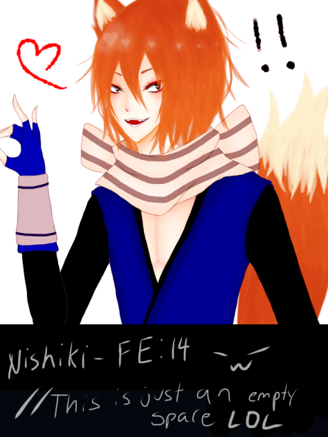 fe14 nishiki