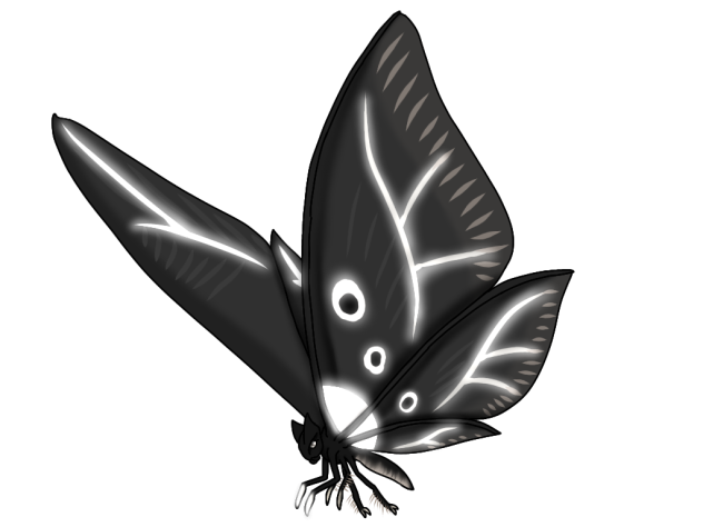 Black Switchwing glow2