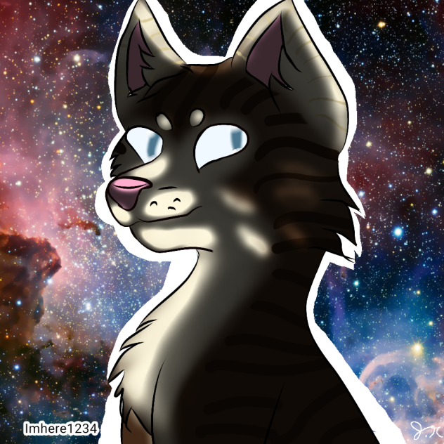 Cat in space owo - ibisPaint
