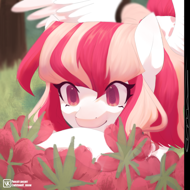 Gift_2.0