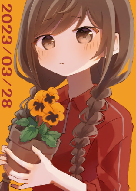 パンジー