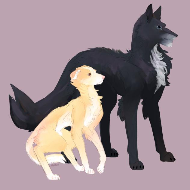 I drew them as dogs