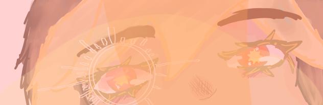 The sun