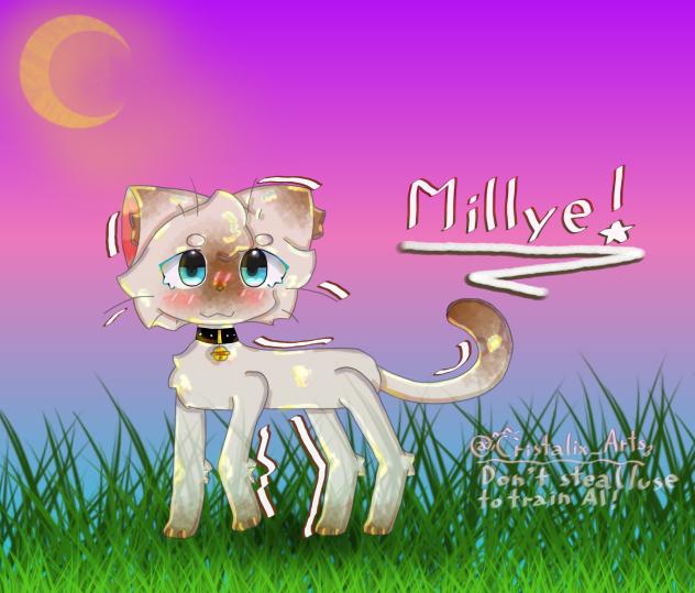 🎀 MILLYE!! 😺