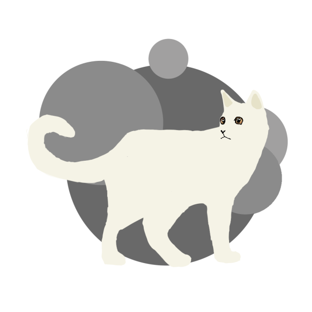 Cat - ibisPaint