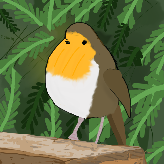 lil robbin