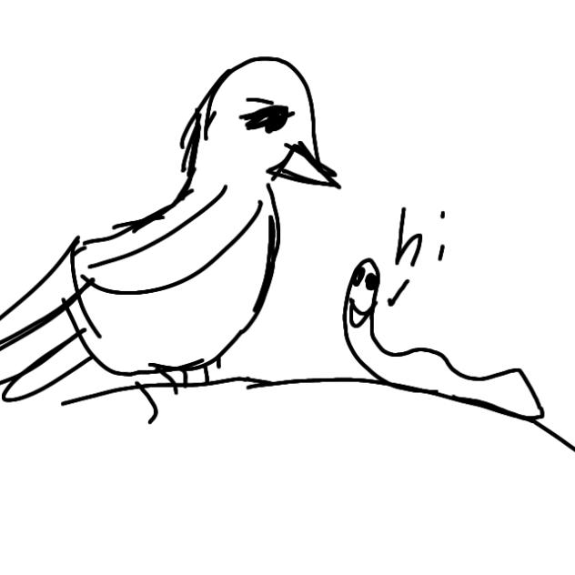 Birdy Rippp