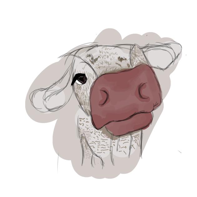 Cow - ibisPaint