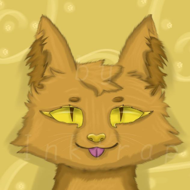 Just a cat