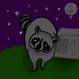 Raccoon