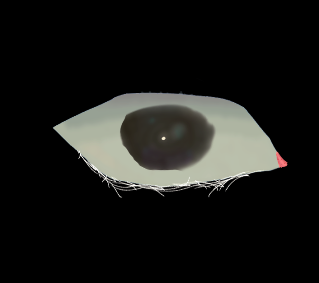 eye