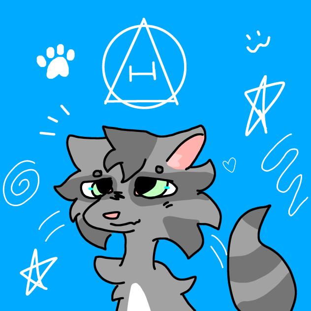 Raccoon PFP