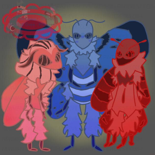 moths 💡