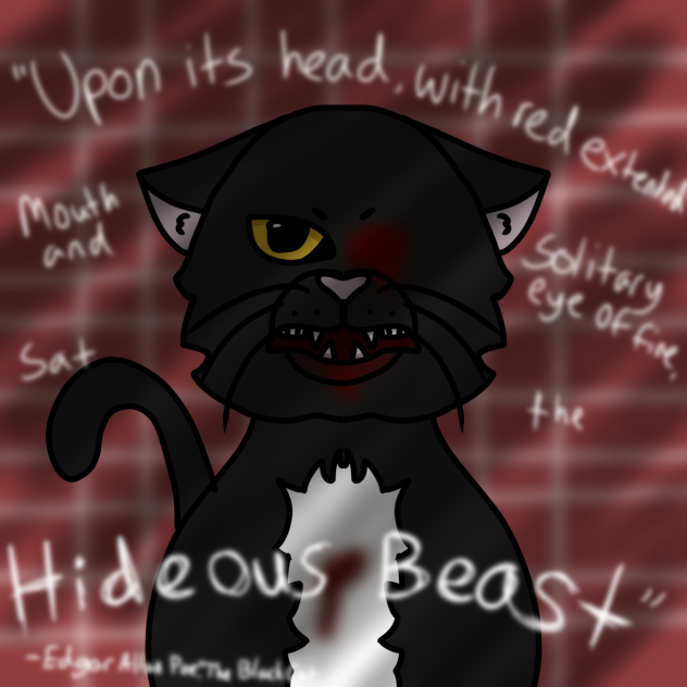 TW! The Black Cat
