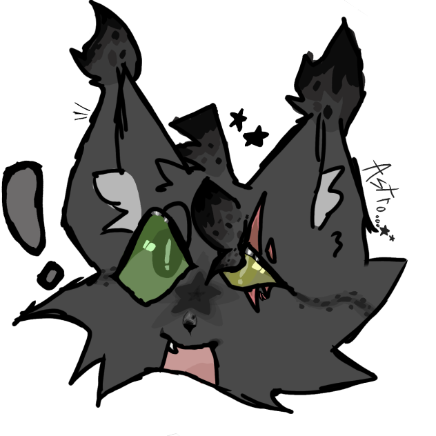 Kitty