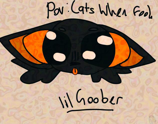 POV Cats When Food Exists