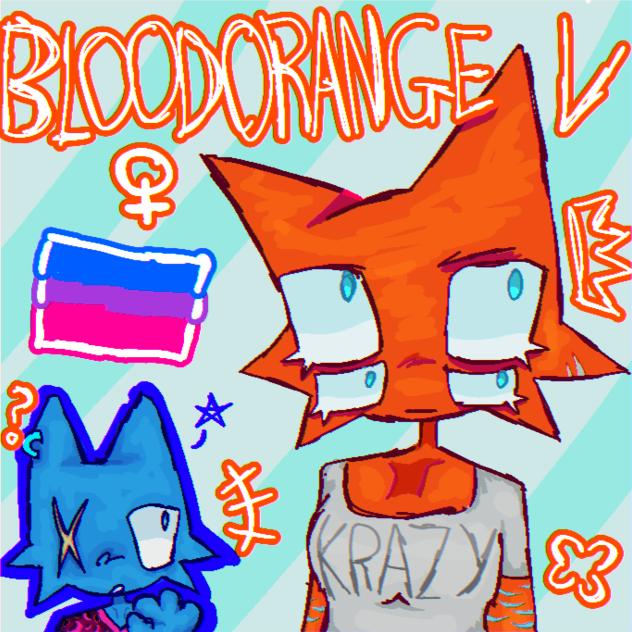 BLOOD ORANGE - V !!