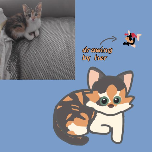 my Cute evil kitty