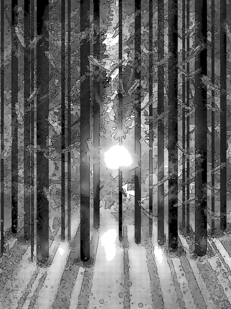 Sunset in the forest2