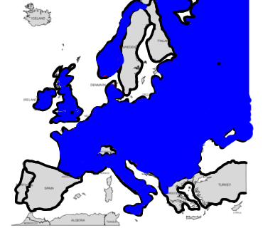 the fall of german reich