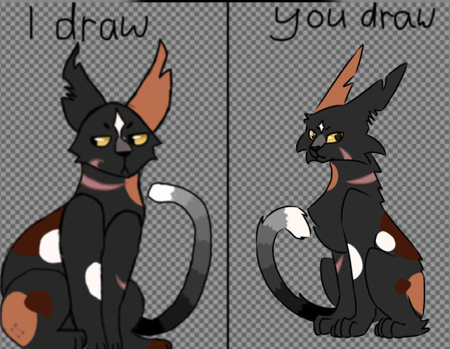 idyd with Poppy_isabook!