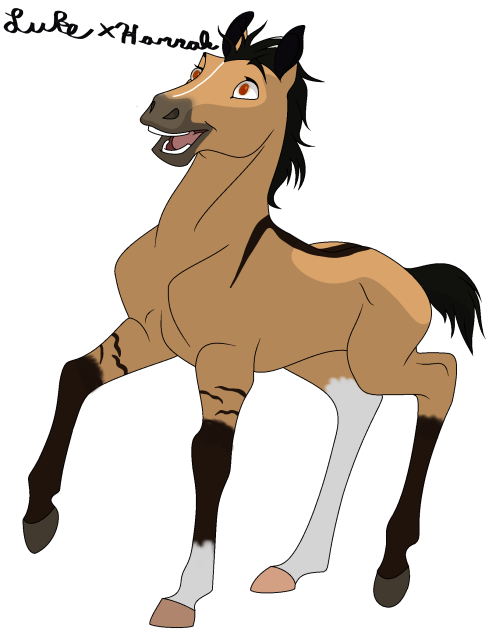 Foal Adoptable