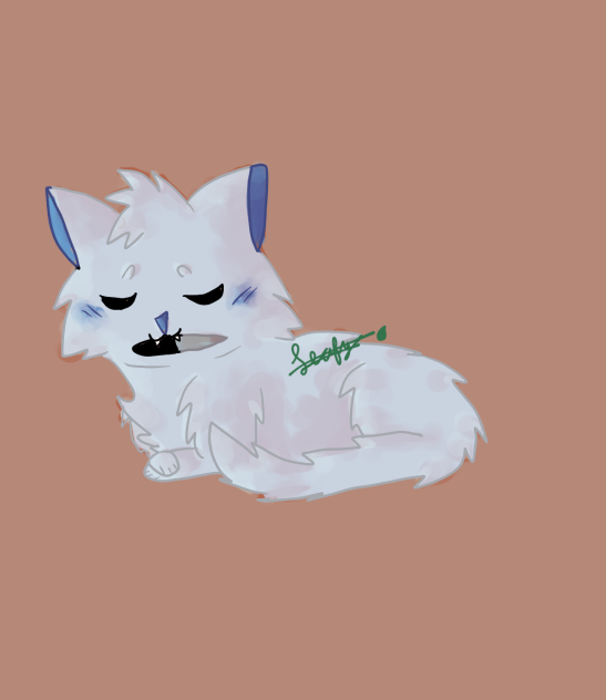 Knife Cat