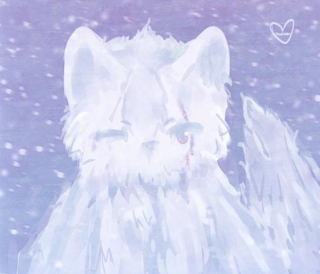 Sno cat
