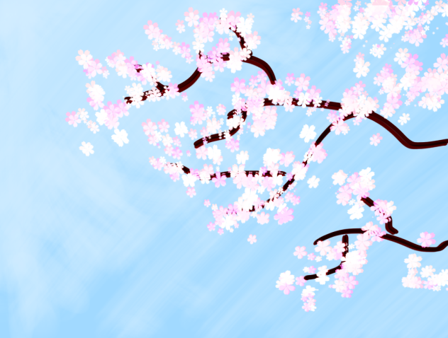 Cherry blossom