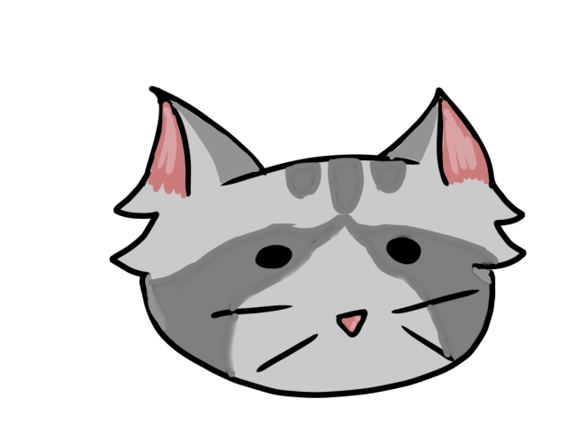 Cat Raccoon