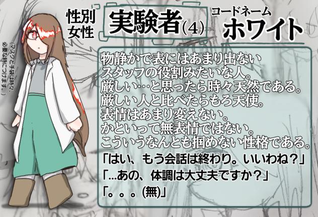 ホワイト(実験者(4)説明書