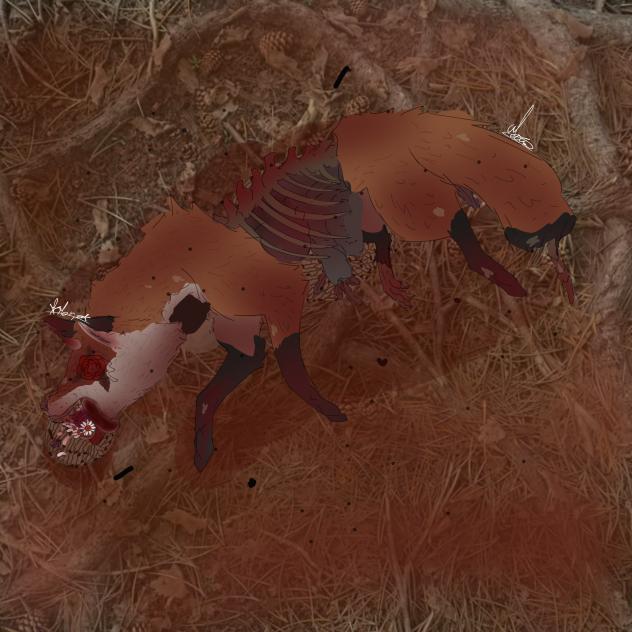 flower fox (redraw TW gore!)