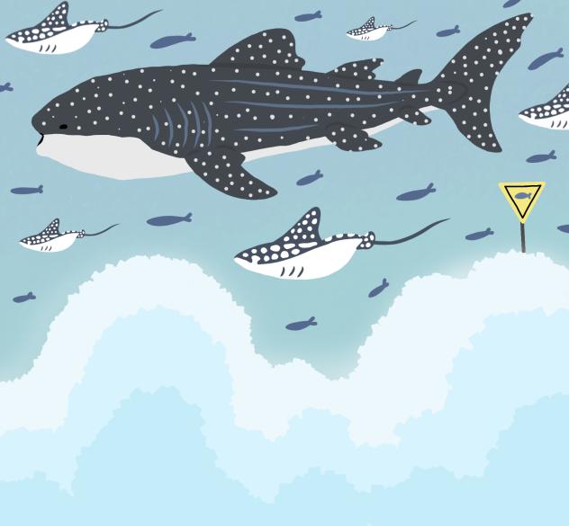 The Sky Sea