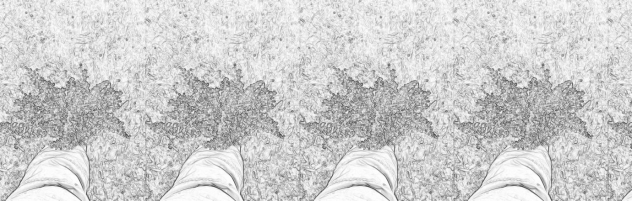 last day on my phone