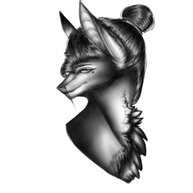 First time black shaded pony qwq