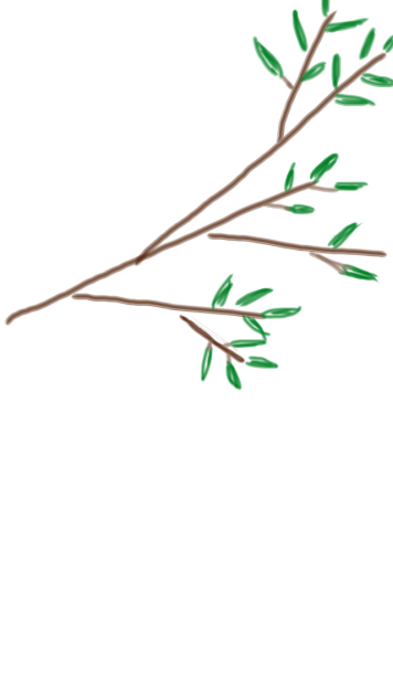 木