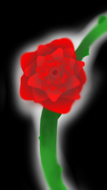 薔薇