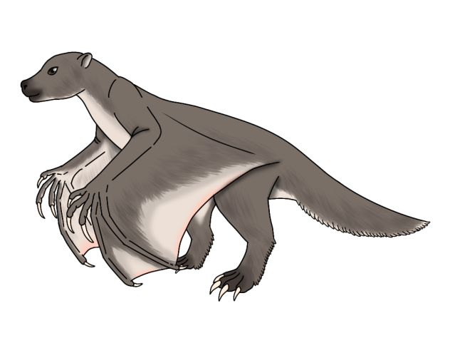 Gray Slothbat render