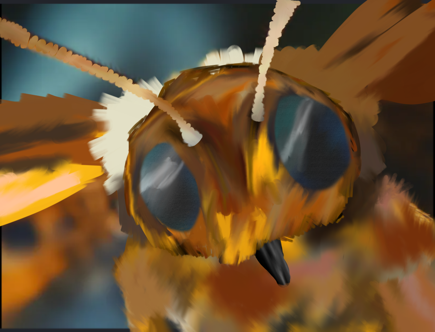 moth - ibisPaint
