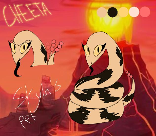 Cheeta Skyla’s pet